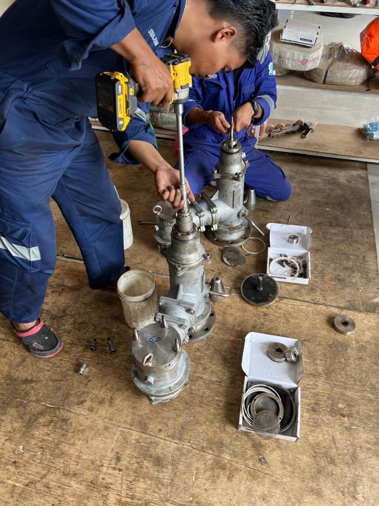 This image has an empty alt attribute; its file name is WhatsApp-Image-2025-11-07-at-14.01.46-2-768x1024.jpeg